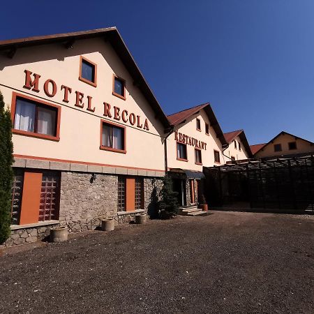 Motel International Recola à Băneşti Extérieur photo